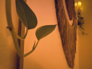 Plants and wall decor